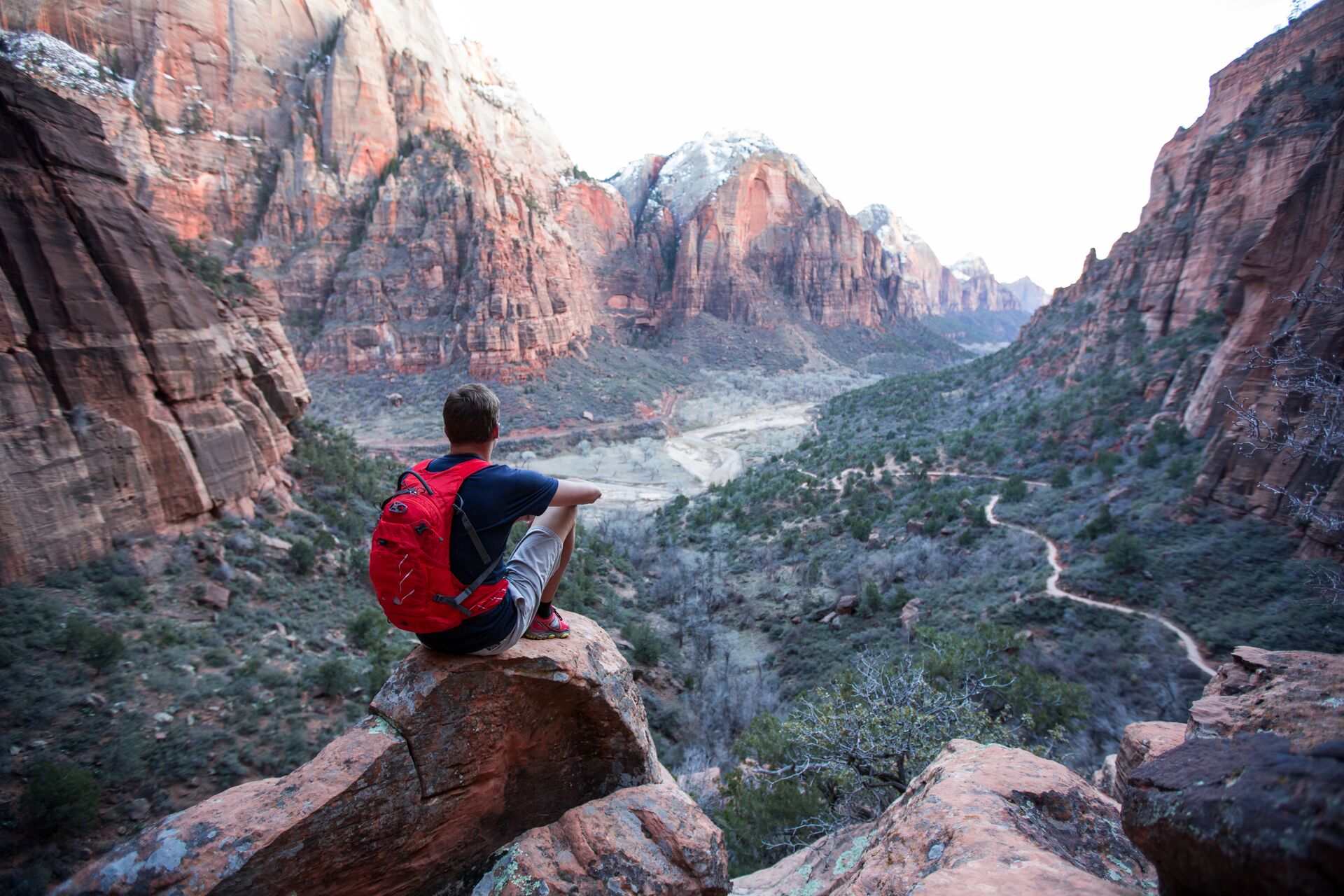 a close up shot of a brown bear’s face, with shaggy brown fur