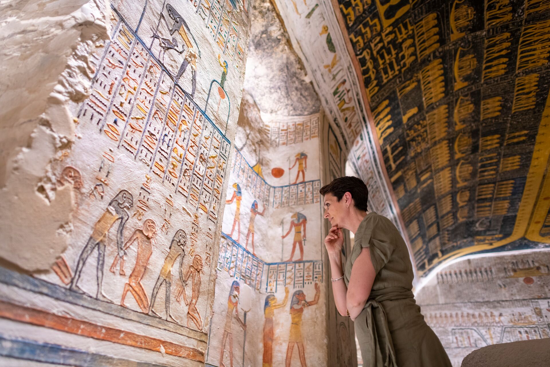 a close up shot of a brown bear’s face, with shaggy brown fur