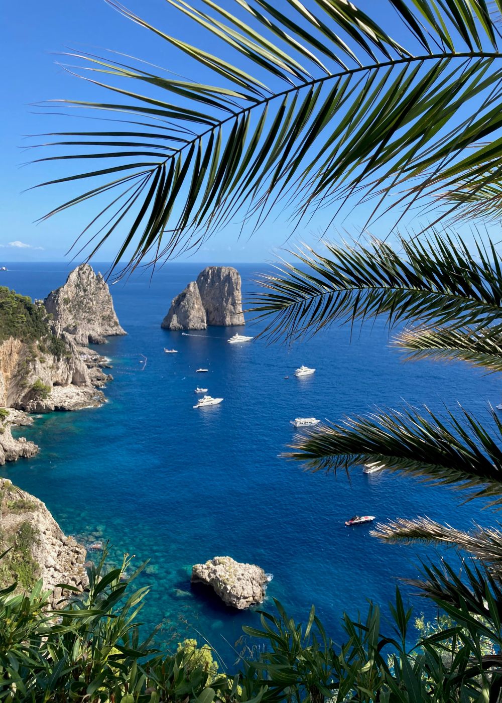 a close up shot of a brown bear’s face, with shaggy brown fur