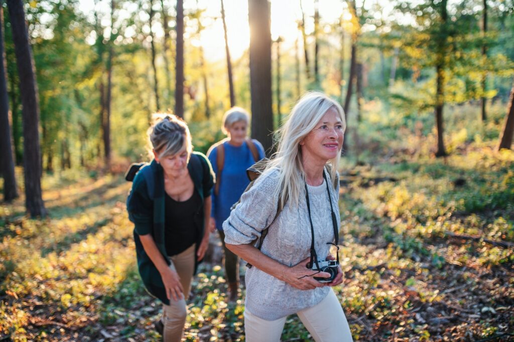 3 women hiking through woods