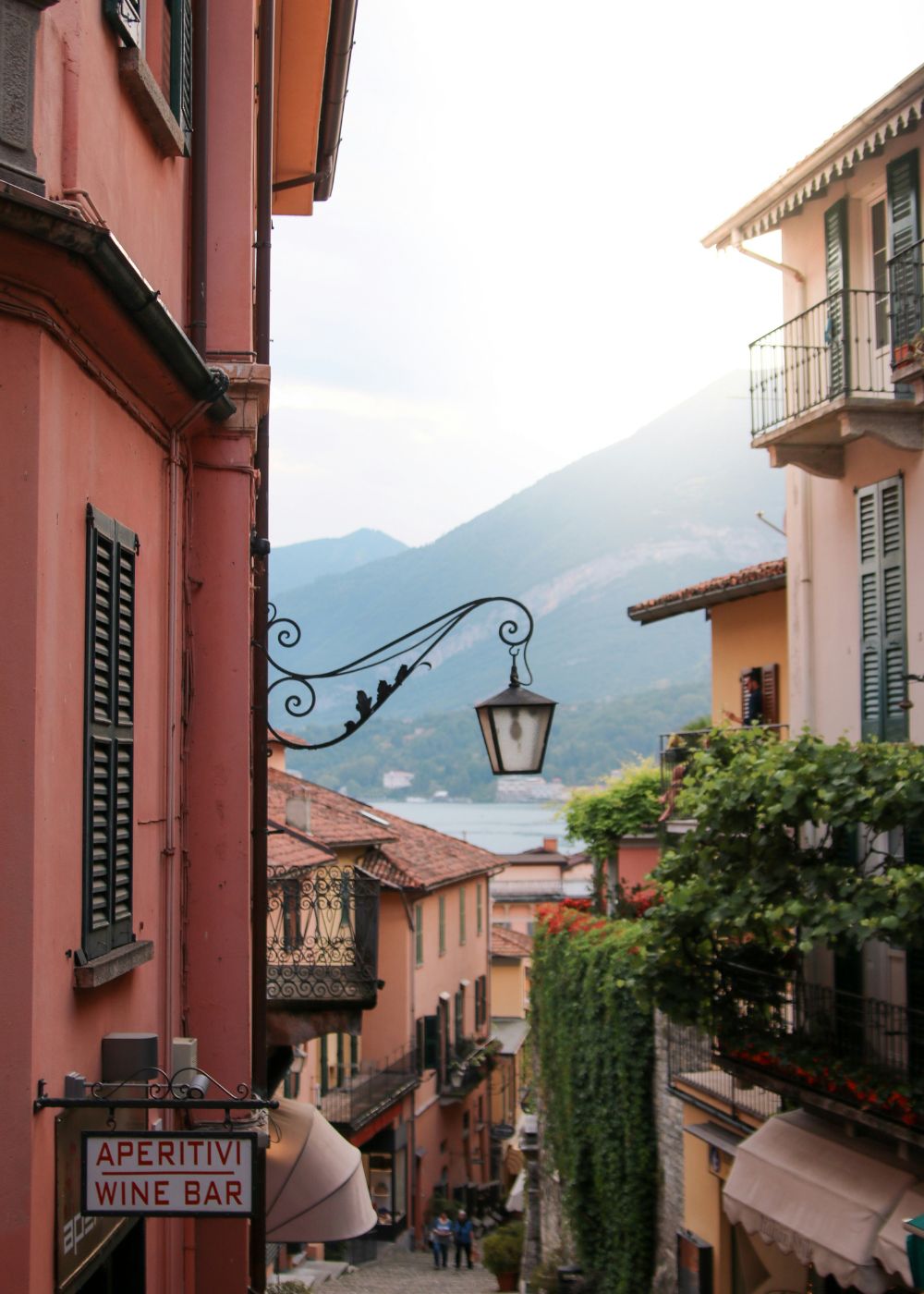 a close up shot of a brown bear’s face, with shaggy brown fur