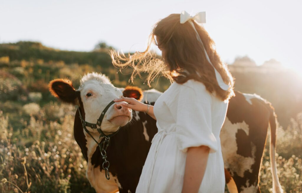 Girl petting cow in a field 