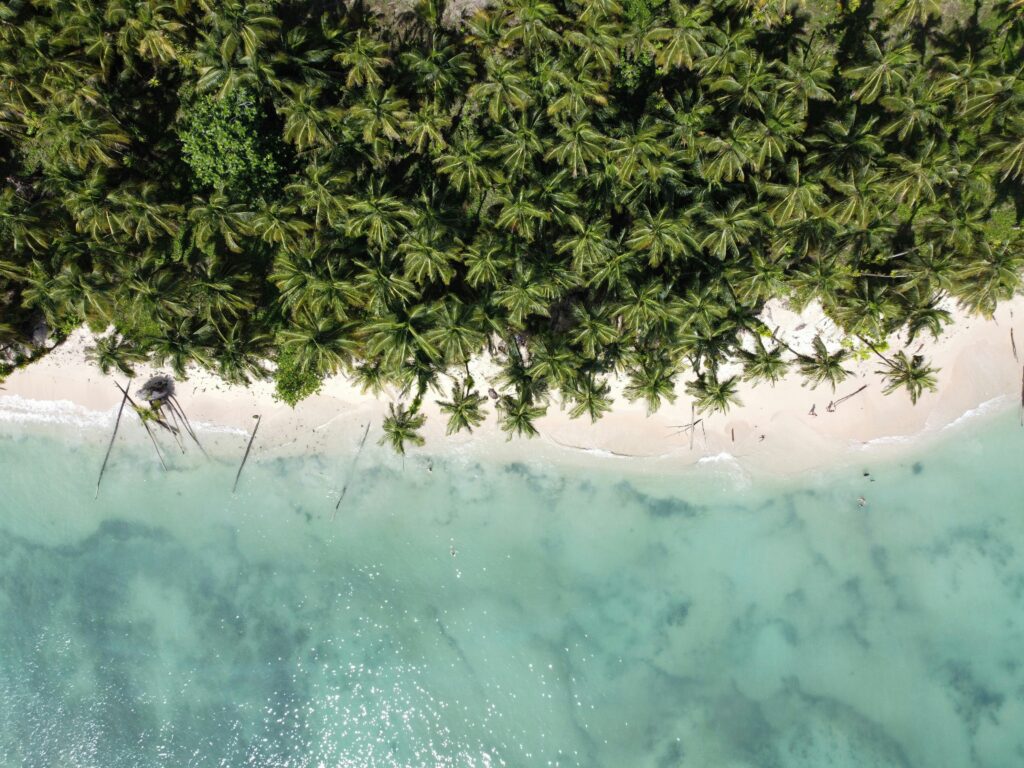 aerial view of beach in panama