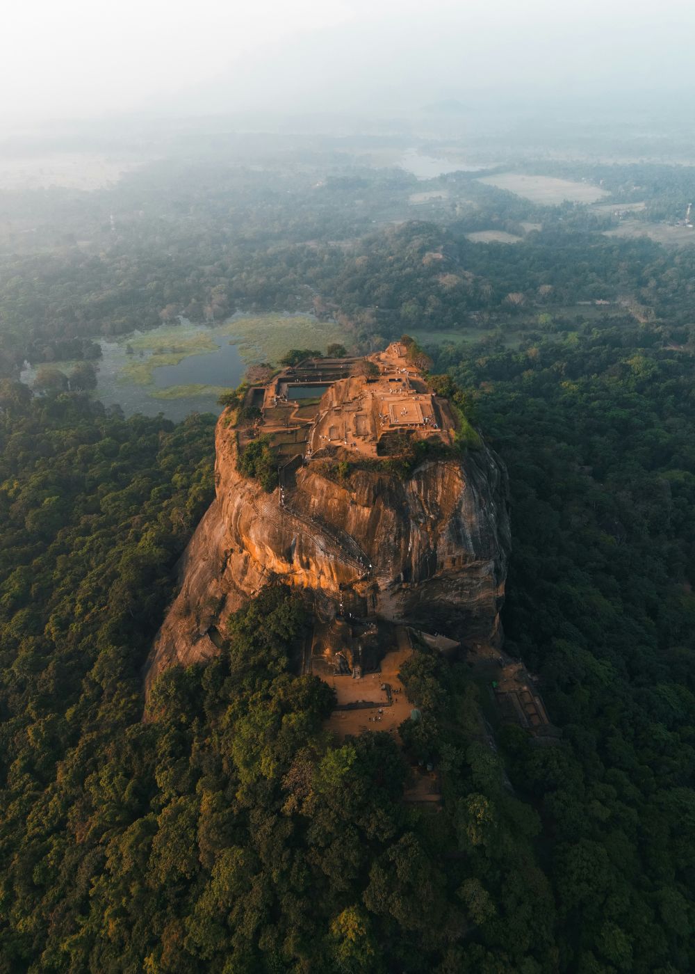 a close up shot of a brown bear’s face, with shaggy brown fur