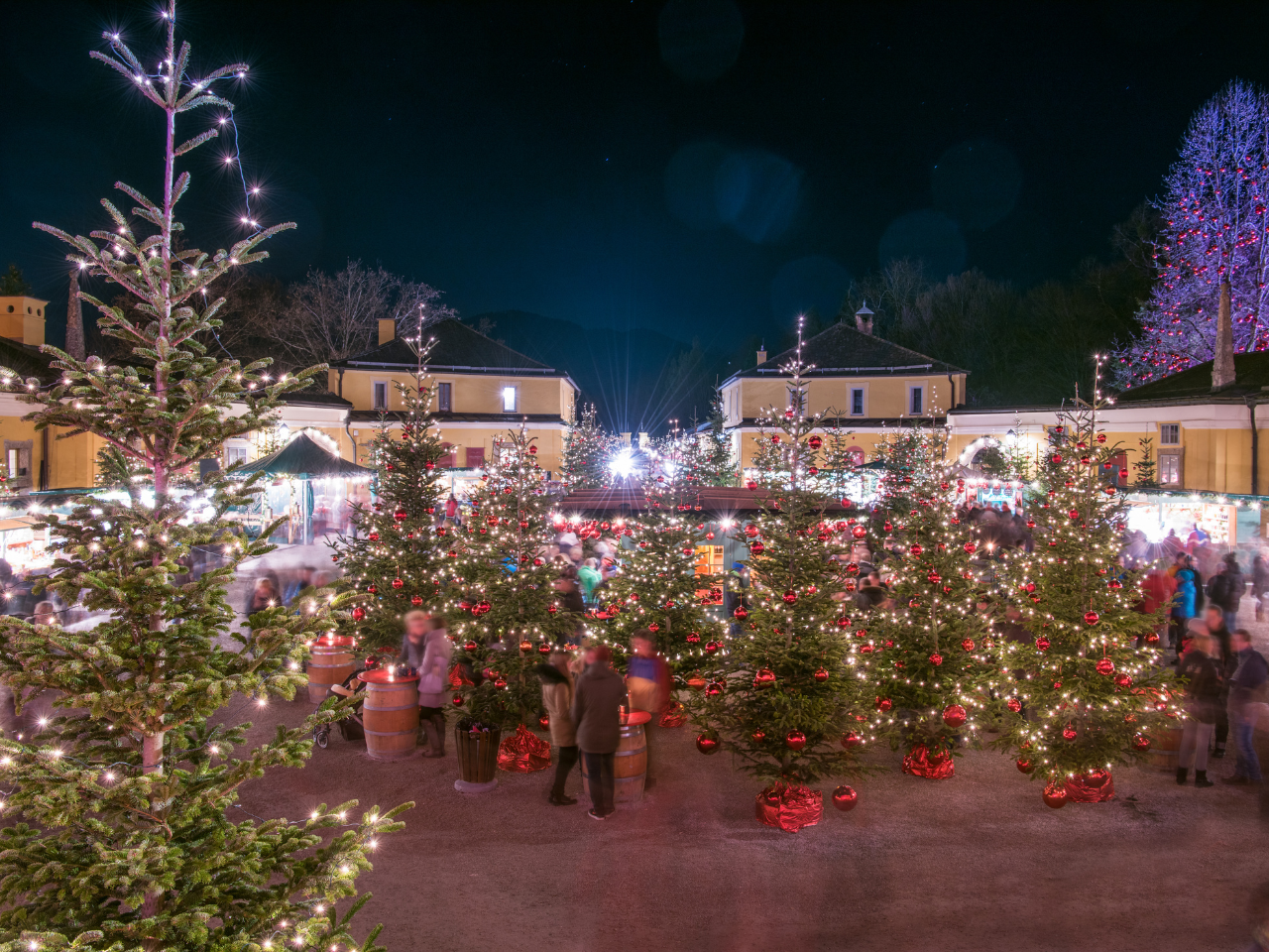 a close up shot of a brown bear’s face, with shaggy brown fur