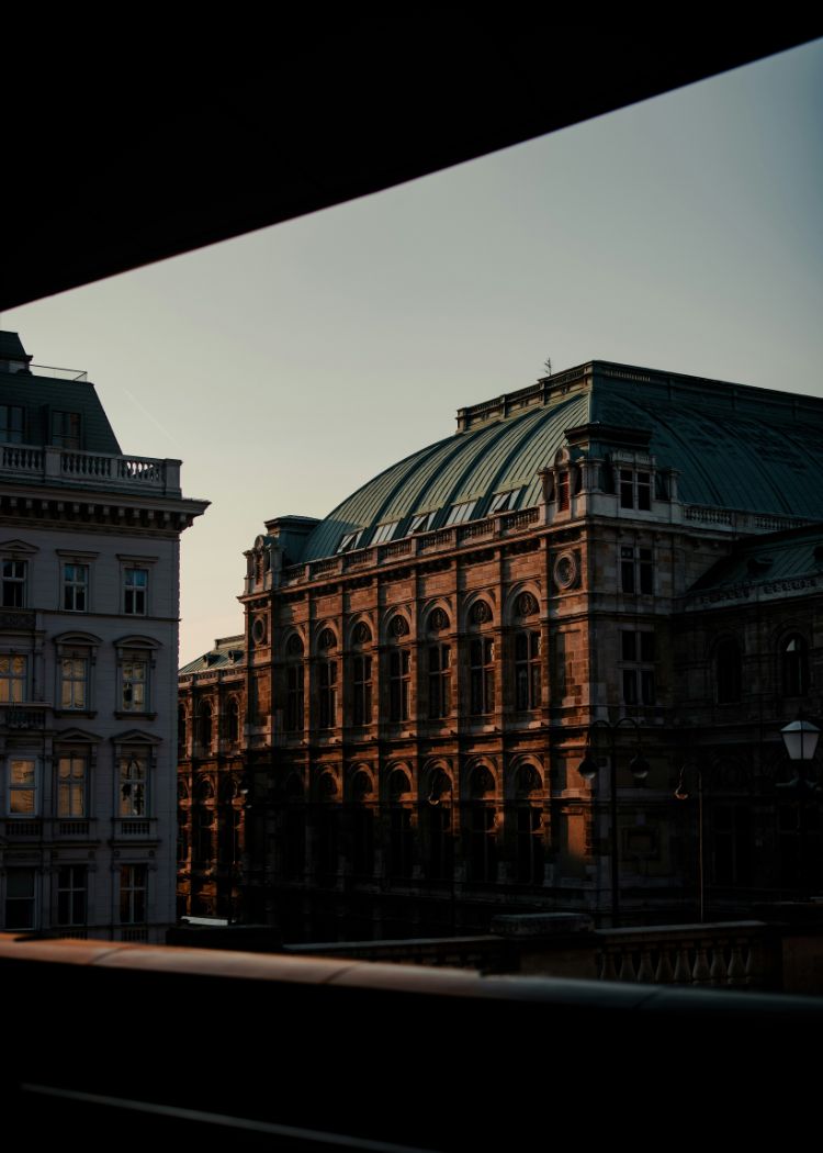 a close up shot of a brown bear’s face, with shaggy brown fur