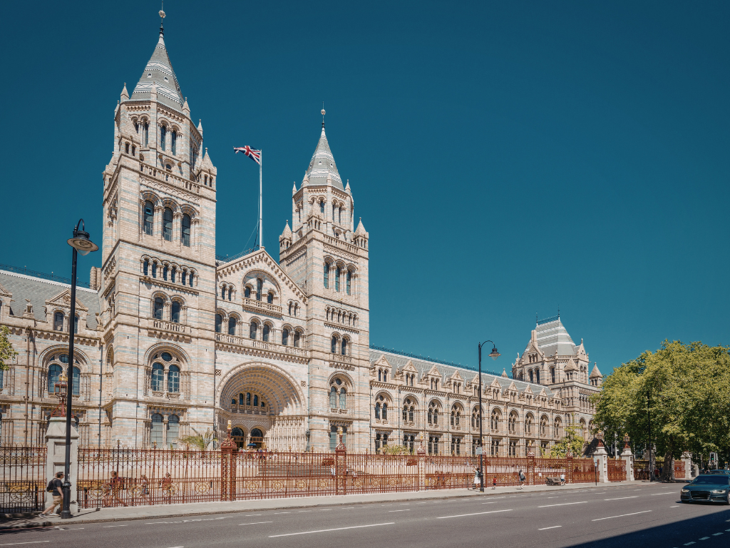 a close up shot of a brown bear’s face, with shaggy brown fur