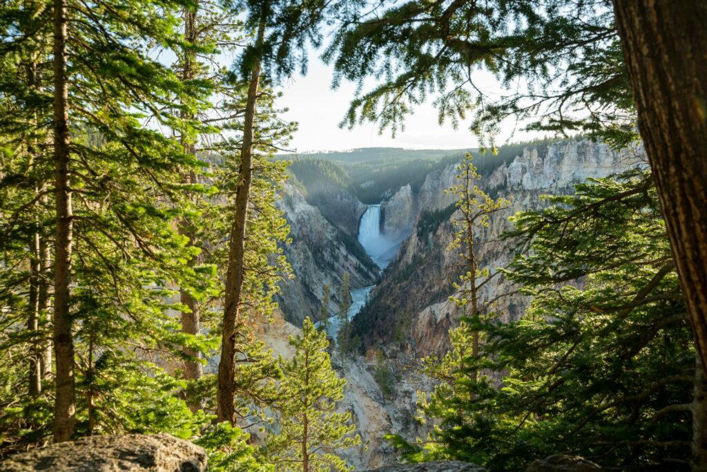 Waterfall through the trees in Yellowstone National Park