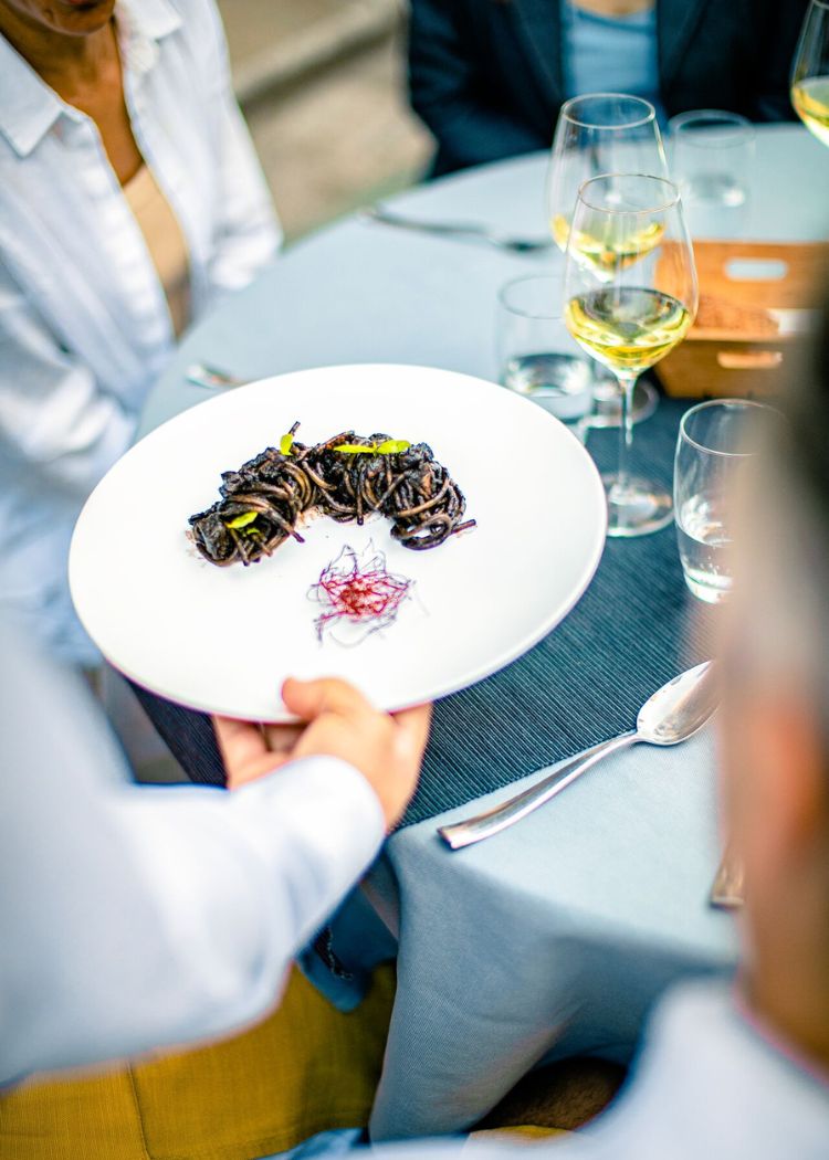 a close up shot of a brown bear’s face, with shaggy brown fur