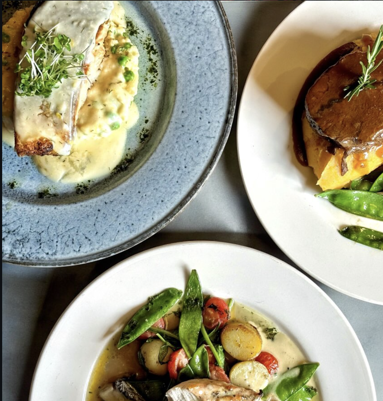 a close up shot of a brown bear’s face, with shaggy brown fur
