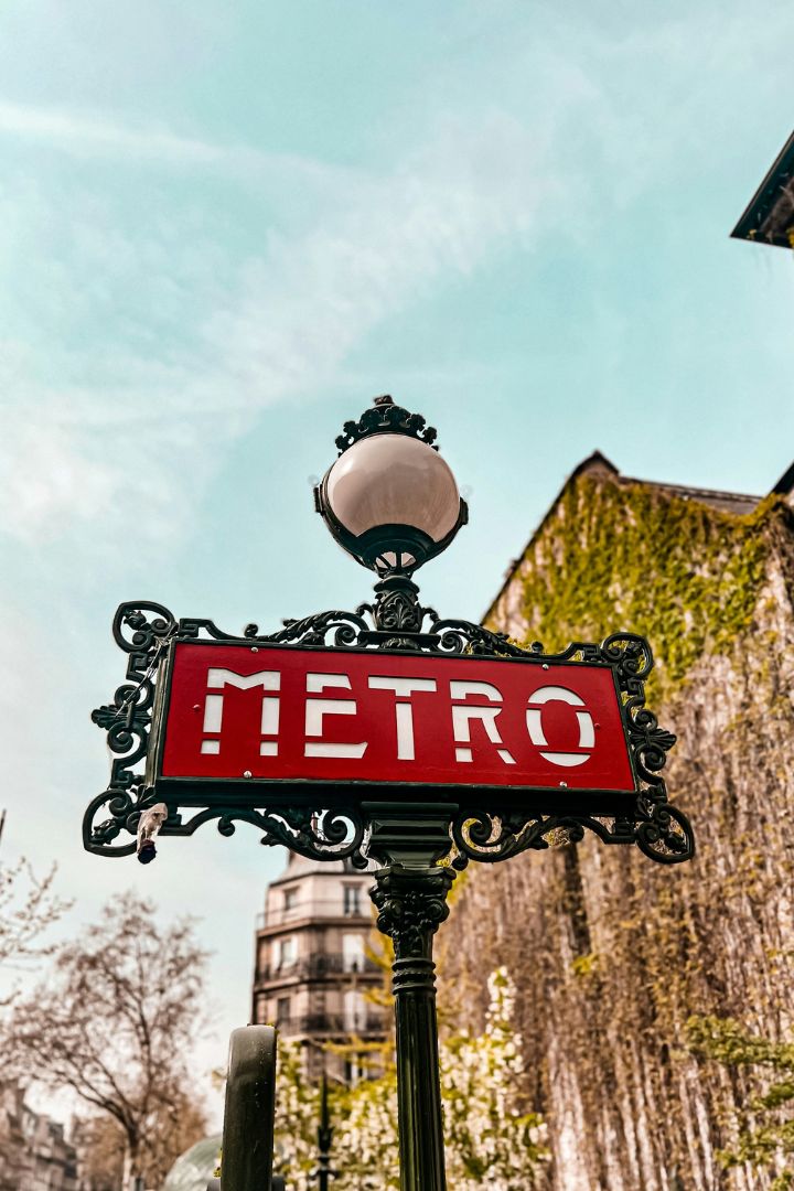 a close up shot of a brown bear’s face, with shaggy brown fur