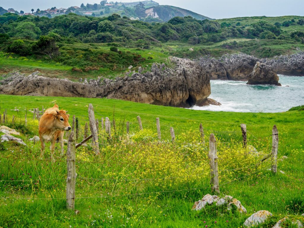 Asturias, northern spain