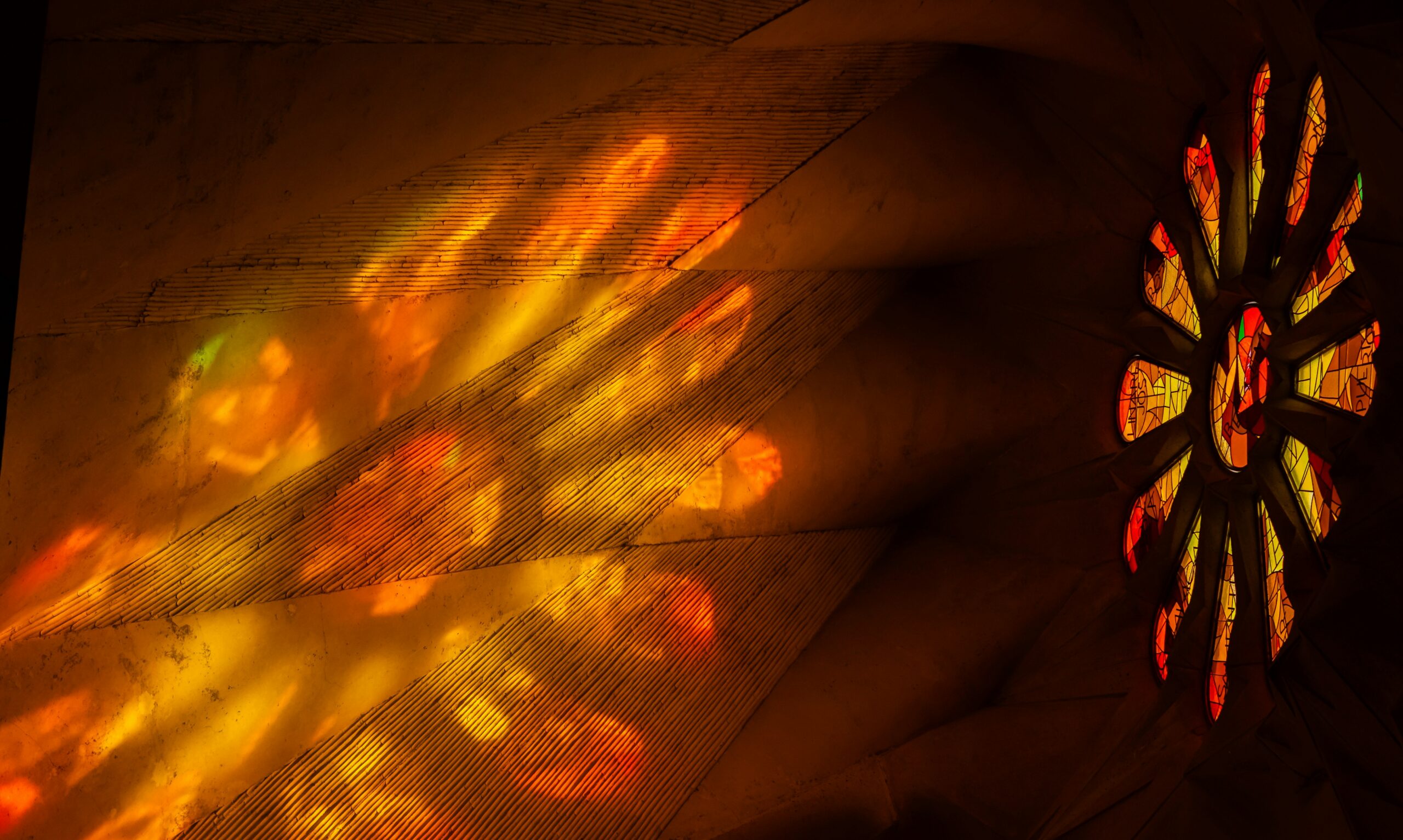 a close up shot of a brown bear’s face, with shaggy brown fur