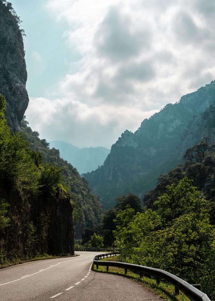 a close up shot of a brown bear’s face, with shaggy brown fur