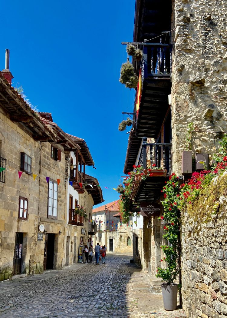 a close up shot of a brown bear’s face, with shaggy brown fur