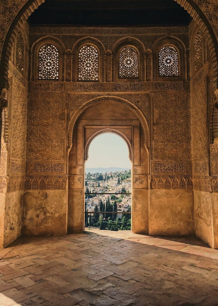 a close up shot of a brown bear’s face, with shaggy brown fur