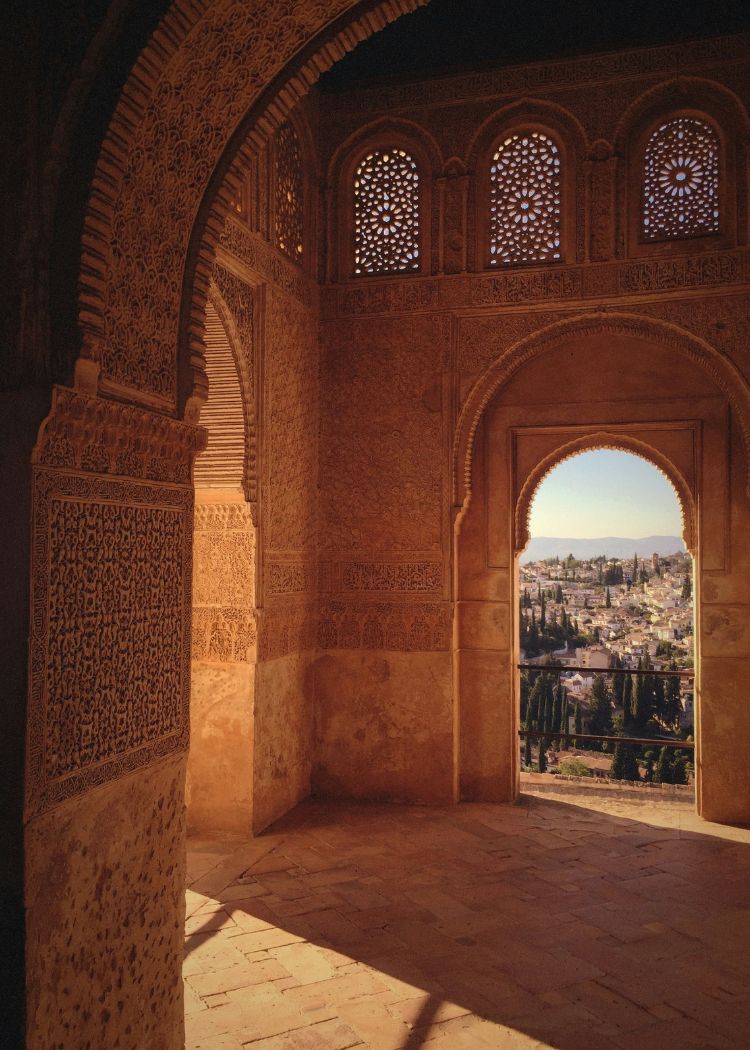 a close up shot of a brown bear’s face, with shaggy brown fur