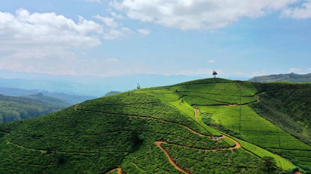 Nuwara Eliya, Sri Lanka