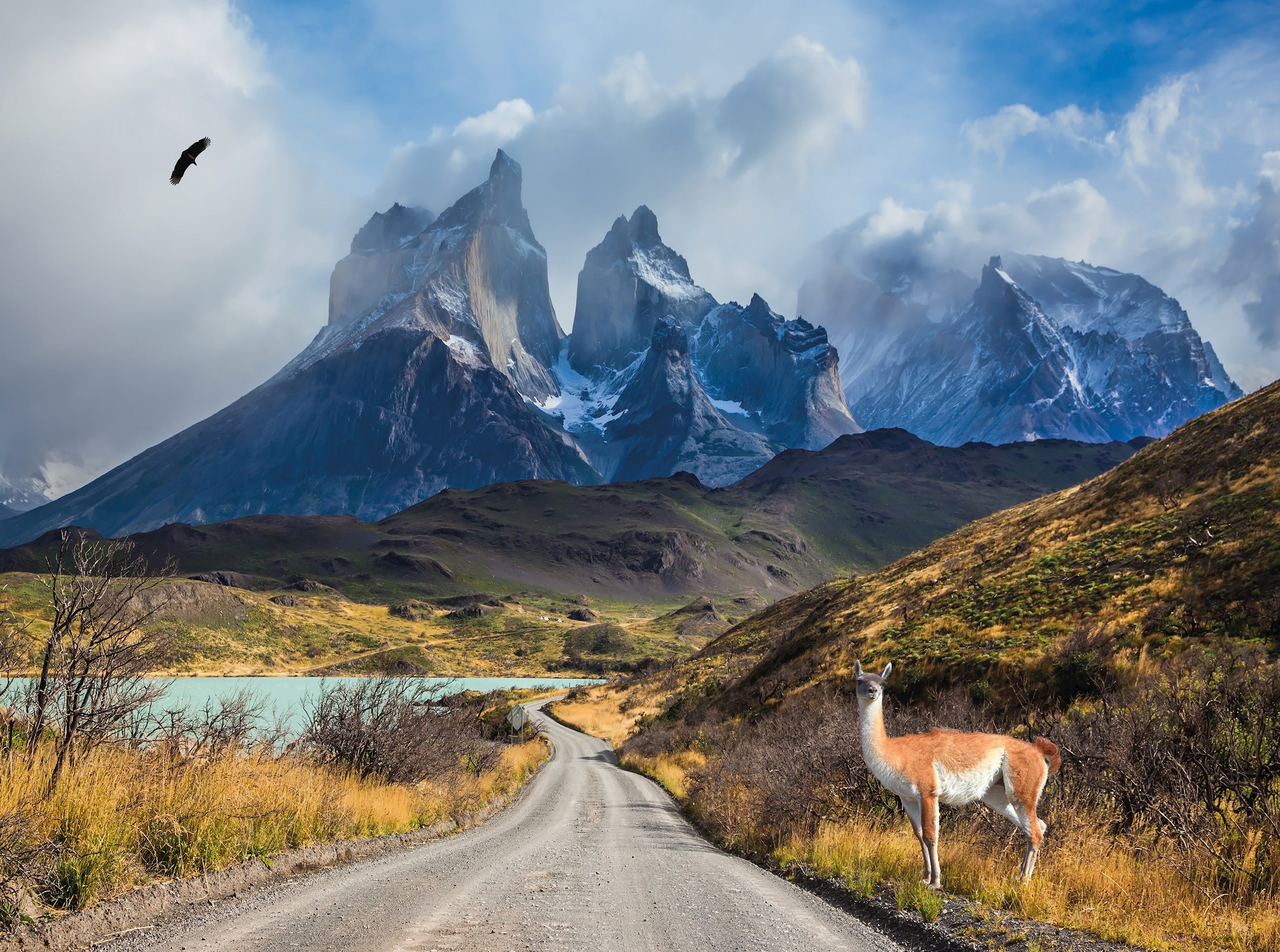 Best of Chile from Atacama to Patagonia Guided Tour