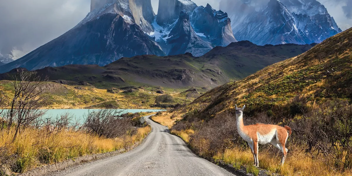 Best of Chile from Atacama to Patagonia Guided Tour