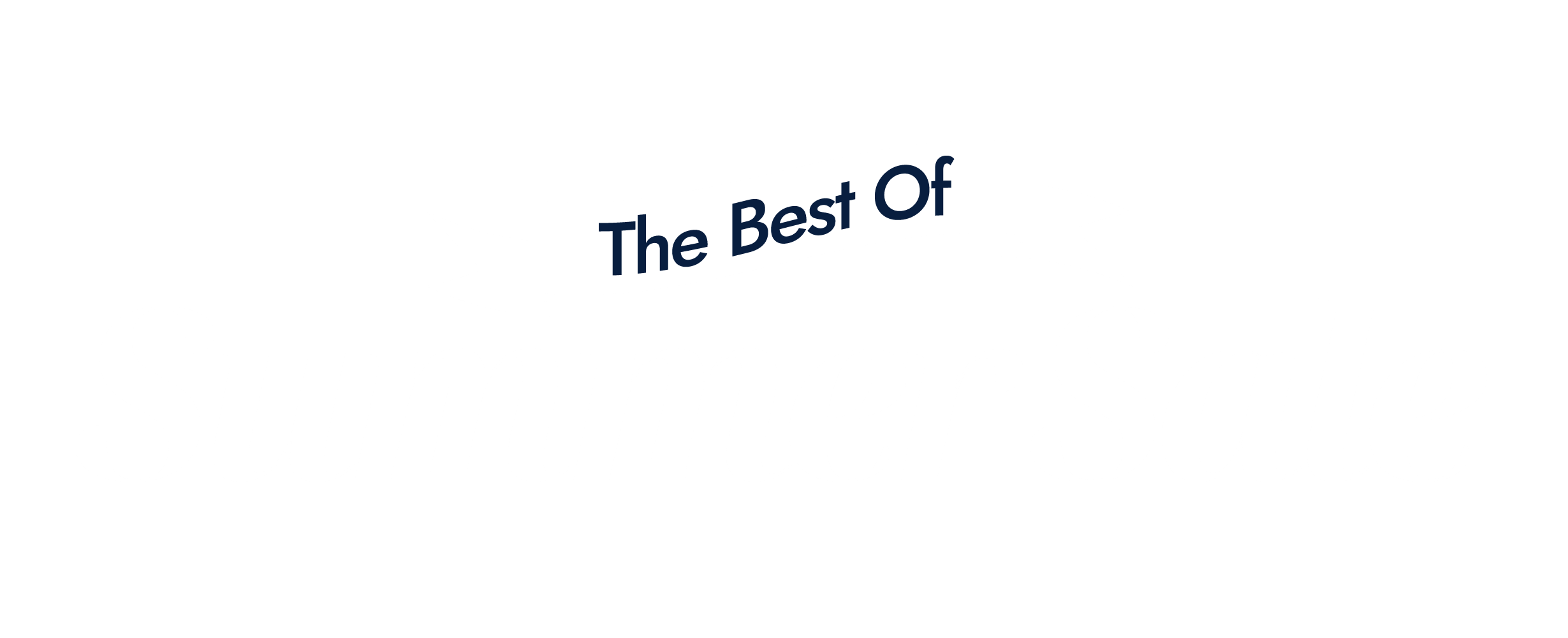 IV BOSS Standard Horizontal Logo White