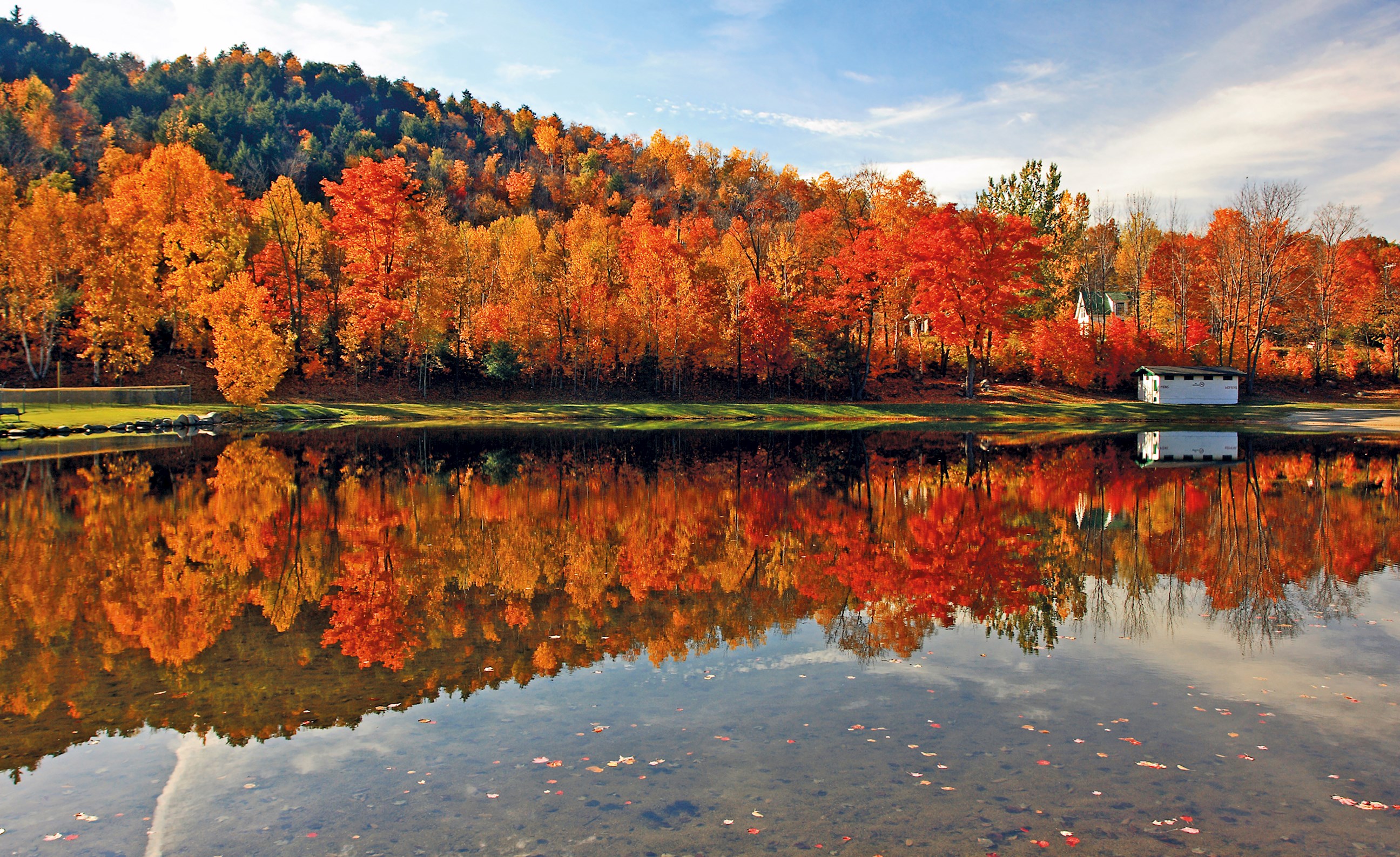Autumn forest next to a lake in New England   