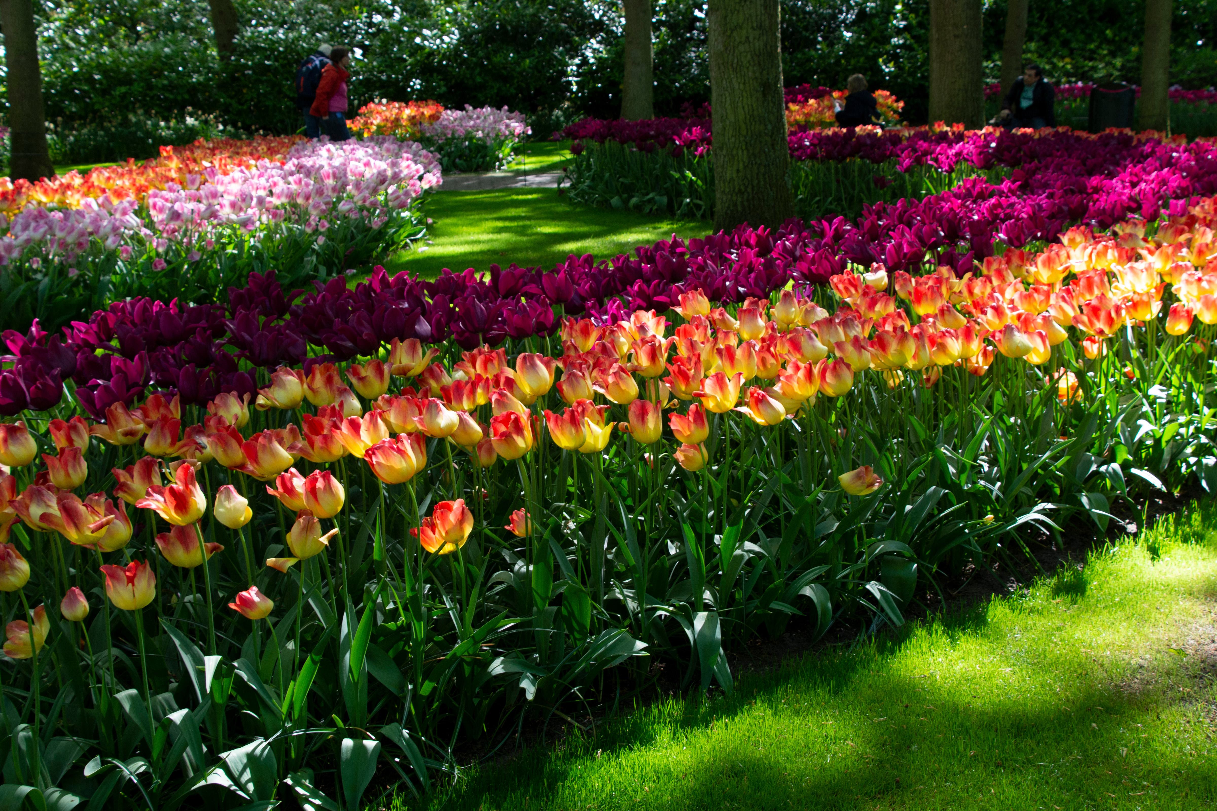 Special Interest Tours