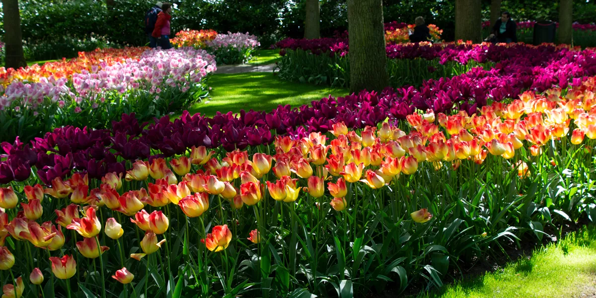 Special Interest Tours