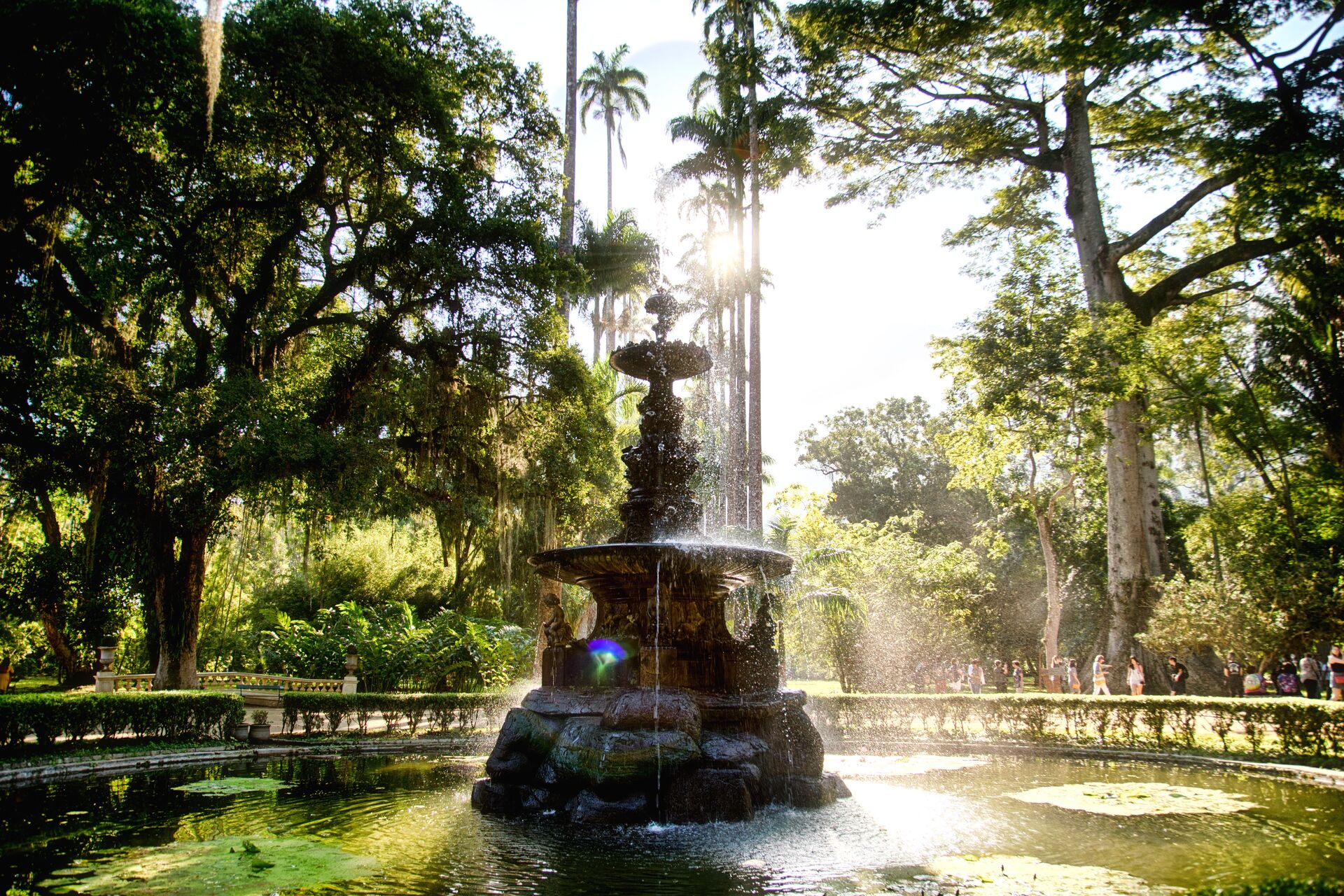 Botanical Garden in Rio De Janeiro, Brazil