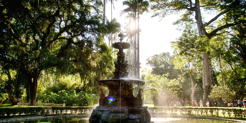 Botanical Garden in Rio De Janeiro, Brazil
