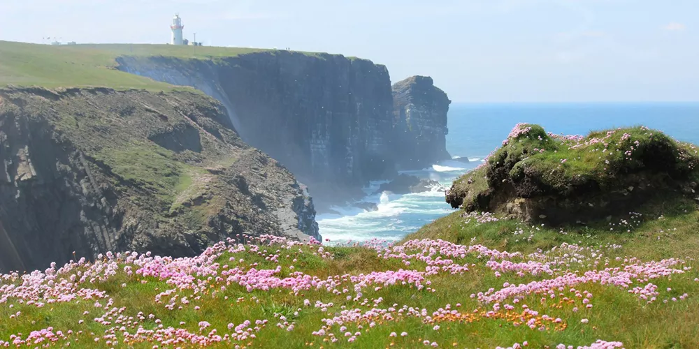 Pretty coastal scene on a windy day in Ireland