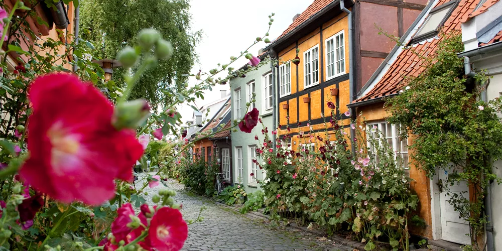 Cobbled Street With Historic Houses In The Old Town, Aarhus, Denmark