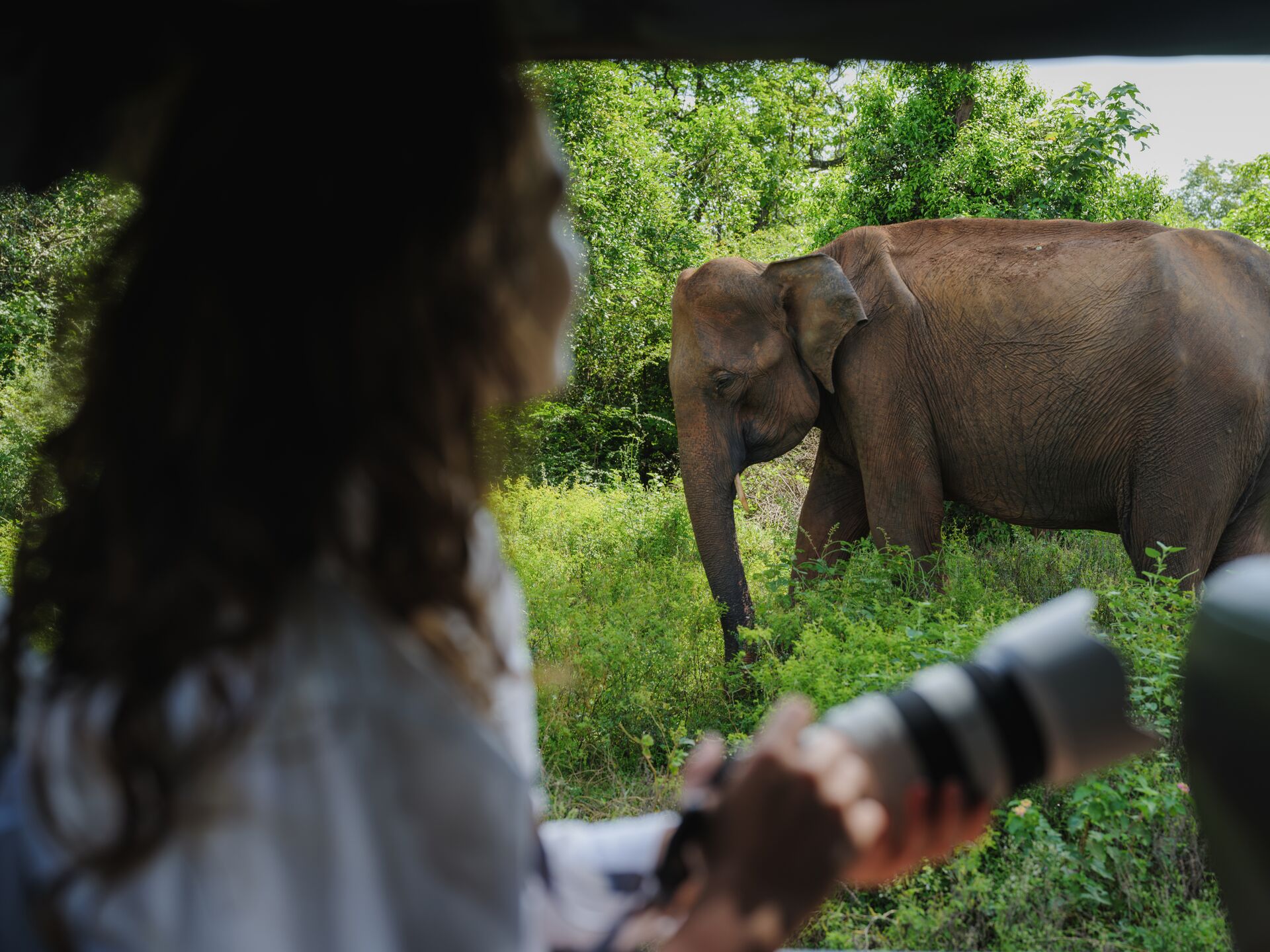 Large Getty 2170592329