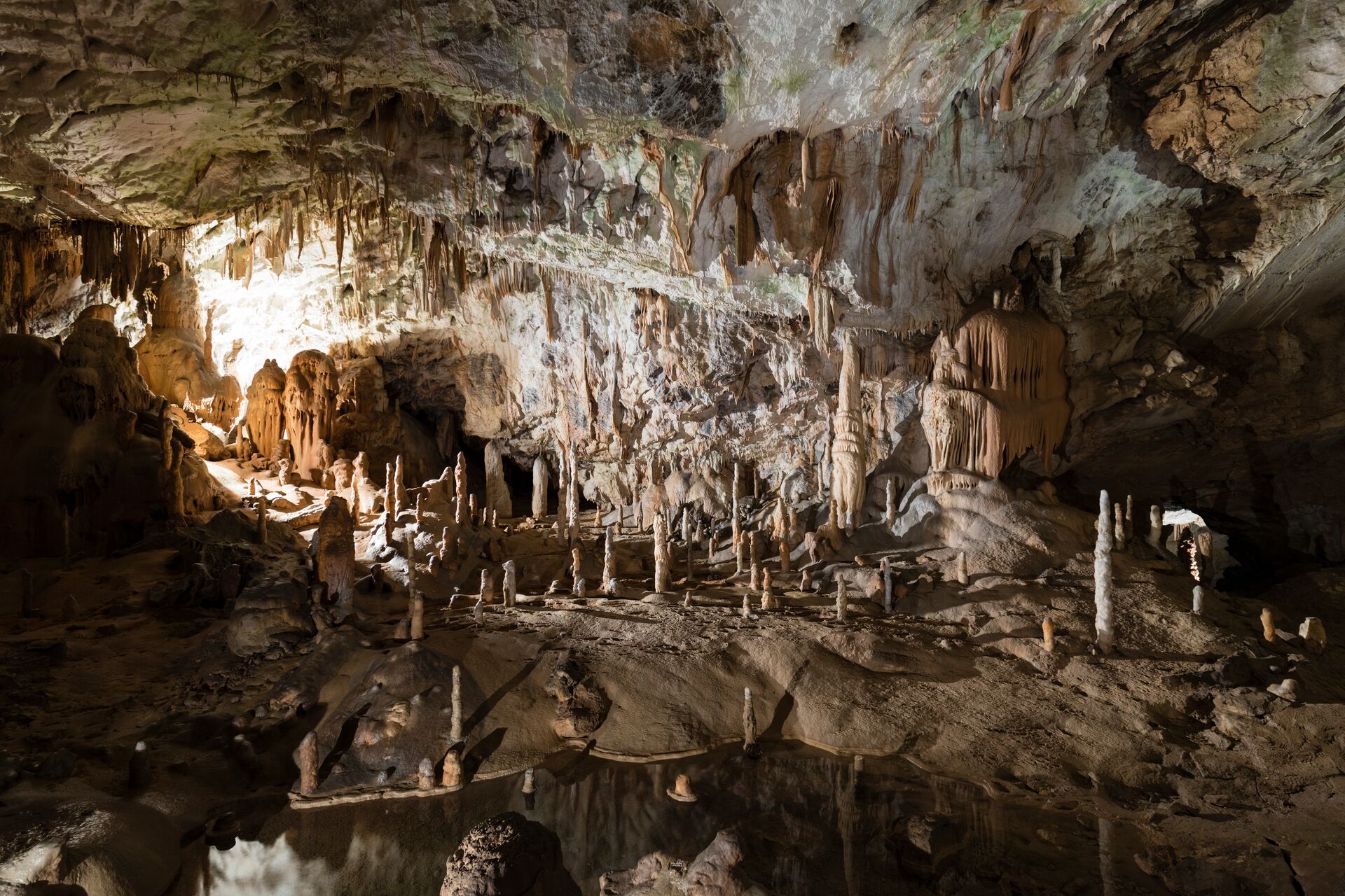 Large World Famous Cave Postojna In Slovenia With Stalactites And Stalagmites 880385884