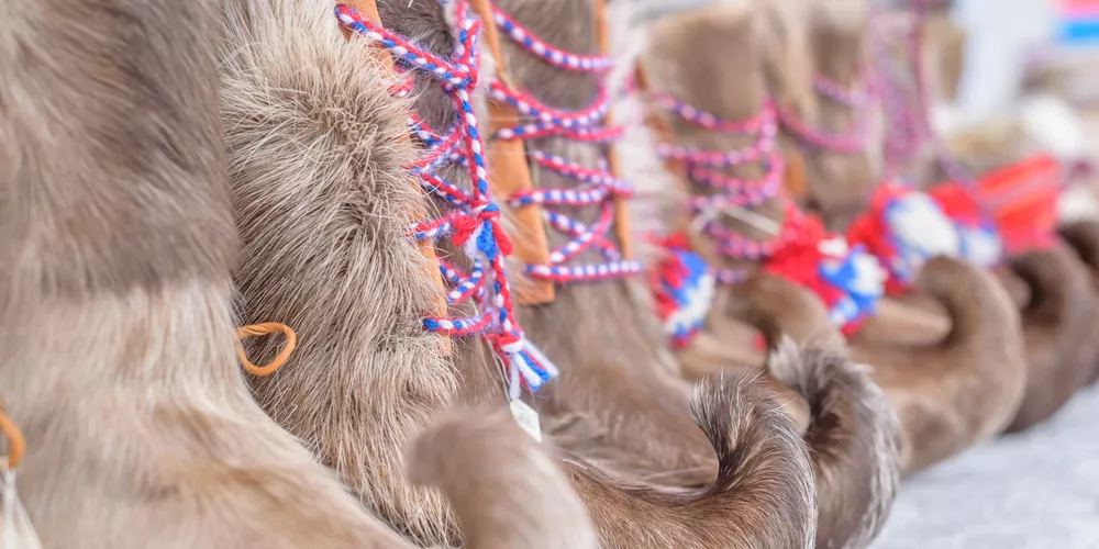 Traditional Sami handmade footwear which is made from reindeer fur