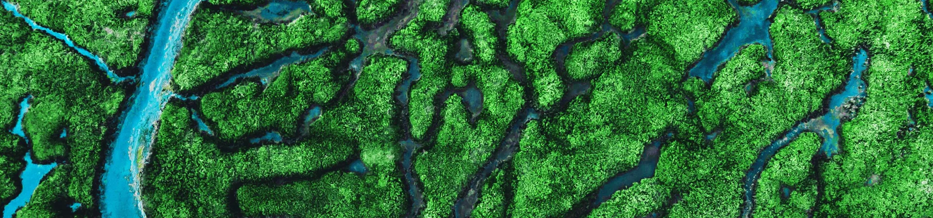 Beautiful aerial view of river meandering through lush vegetation