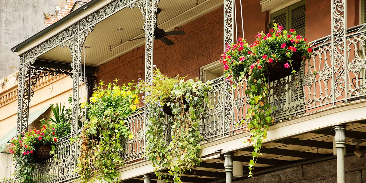 Country Roads of the Deep South Womens Only Guided Tour