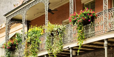 Country Roads of the Deep South Womens Only Guided Tour