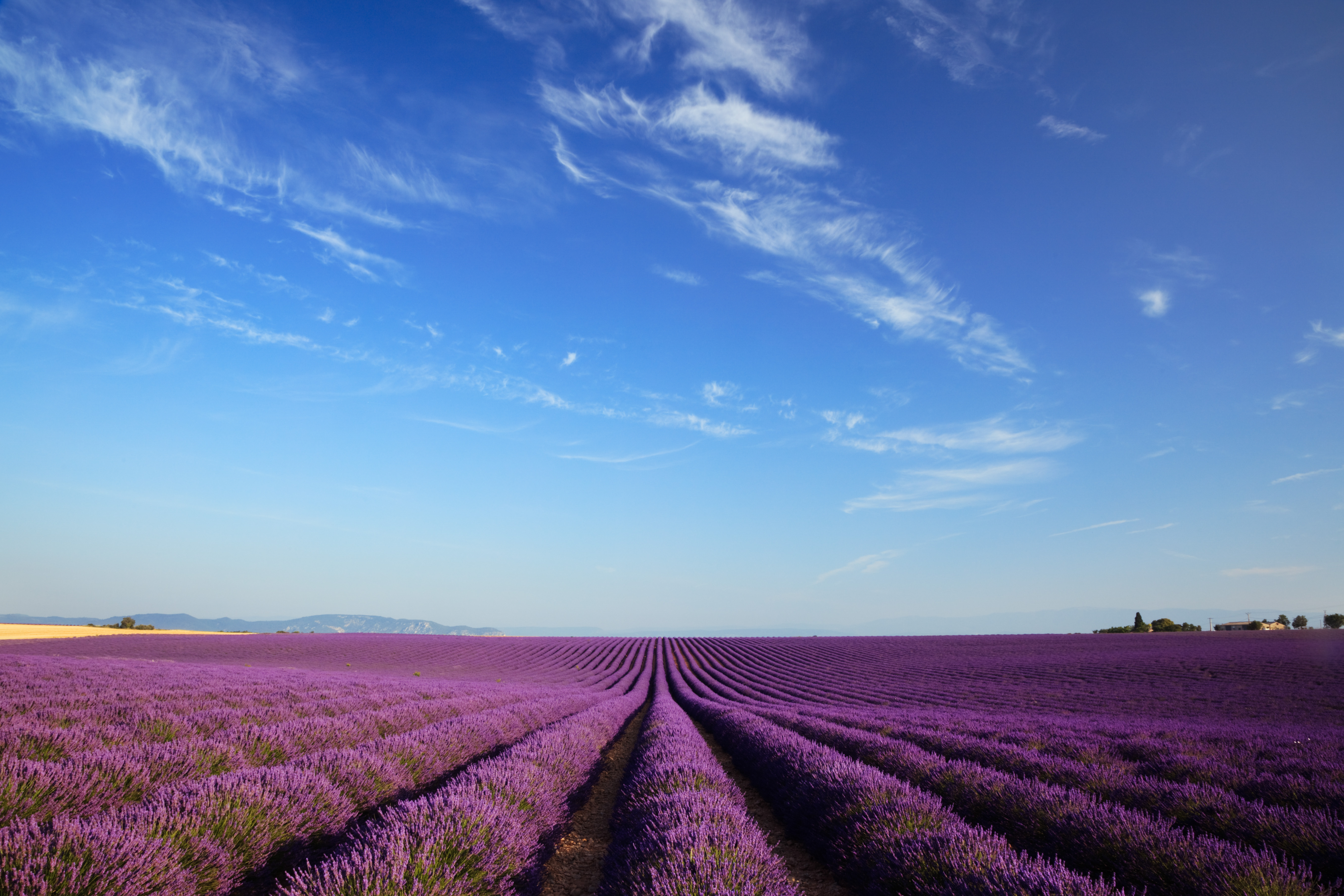 France Guided Tour Packages Insight Vacations France Guided Tour Packages Insight Vacations
