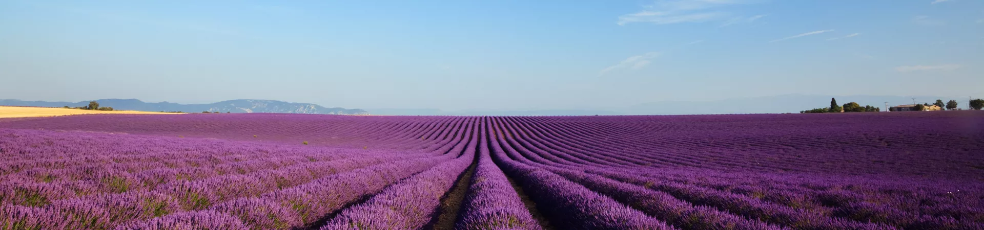 France Guided Tours and Travel Guide