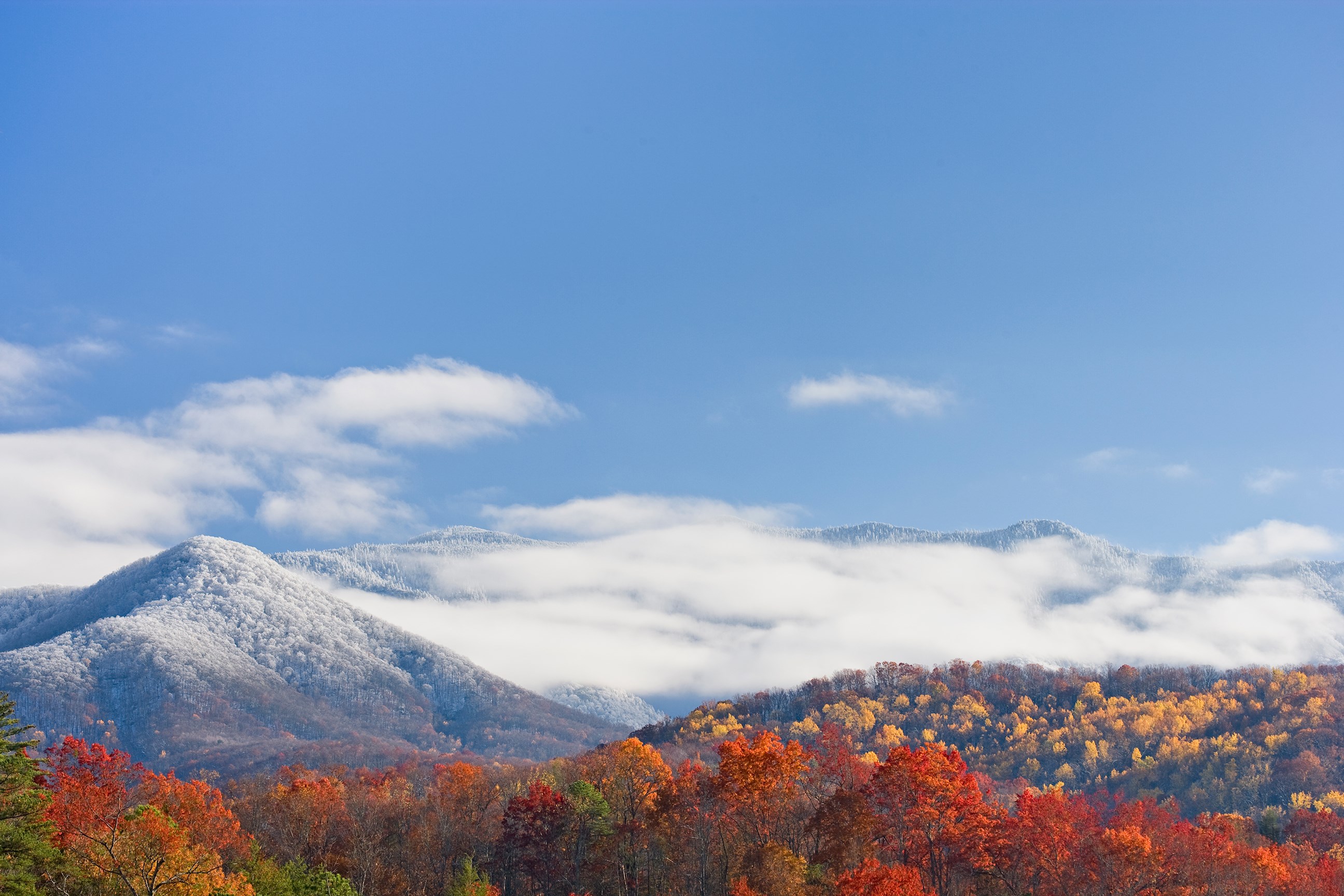 Escape the City: Exploring the Enchanting State Parks of Eastern Pennsylvania