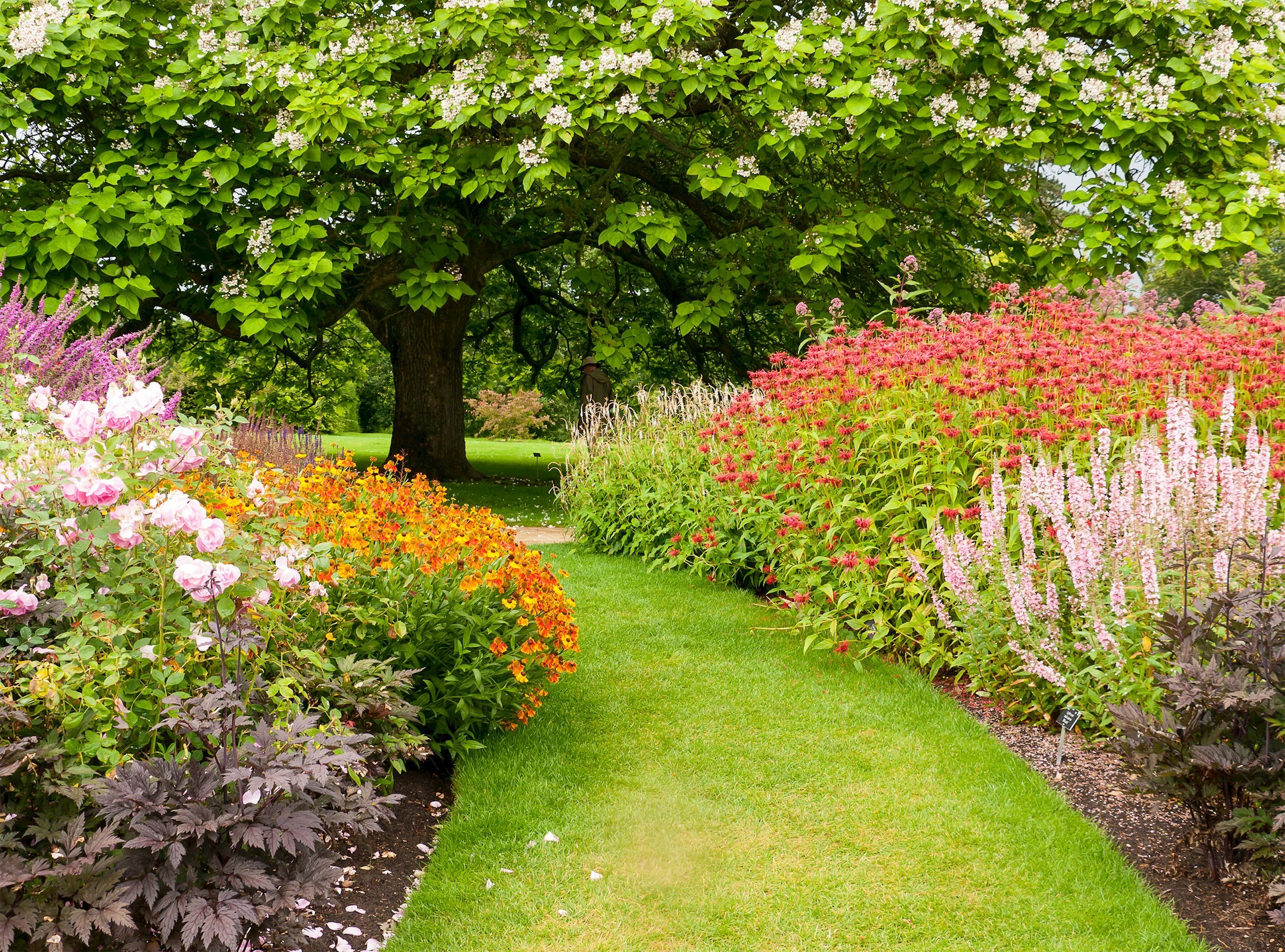 Wisley Garden Woking, England