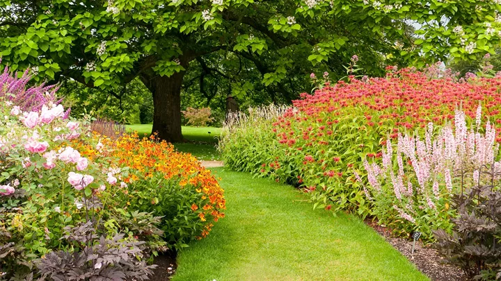 Wisley Garden Woking, England