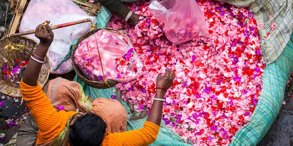High angle view of a vendor selling pink flower petals at a street market in India