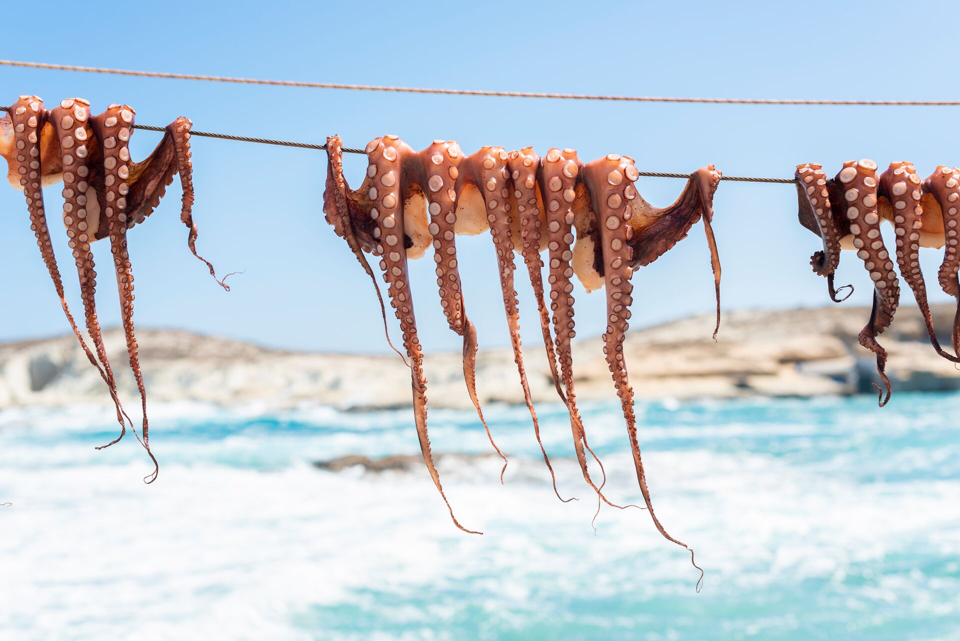 Octopus hanging on a clothes line in Greece