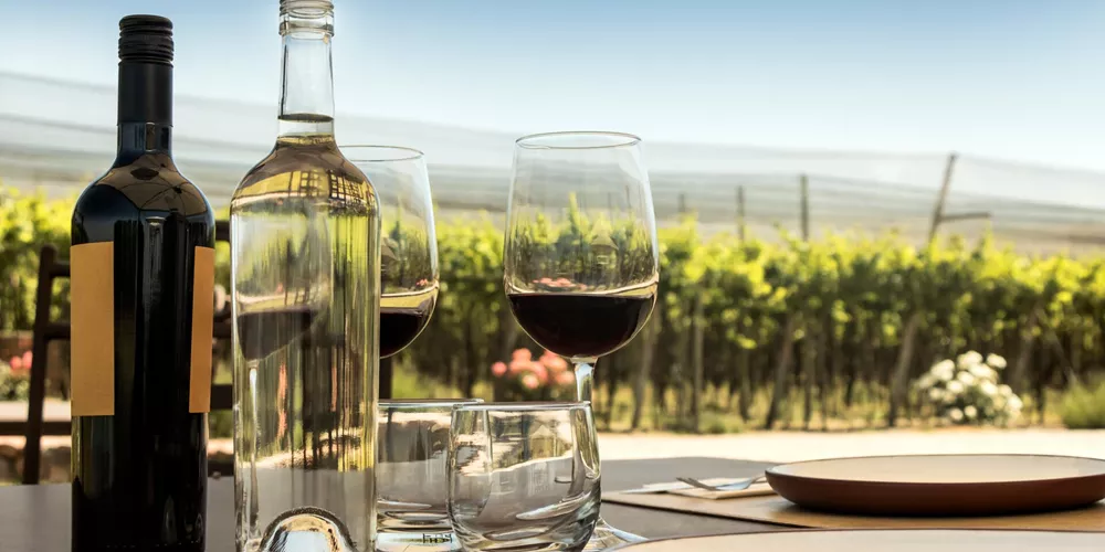 Glasses and bottle of red wine with a vieyard in the background