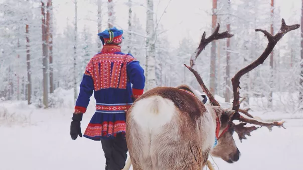 Sami Man Walking Reindeer Tromso Norway 14