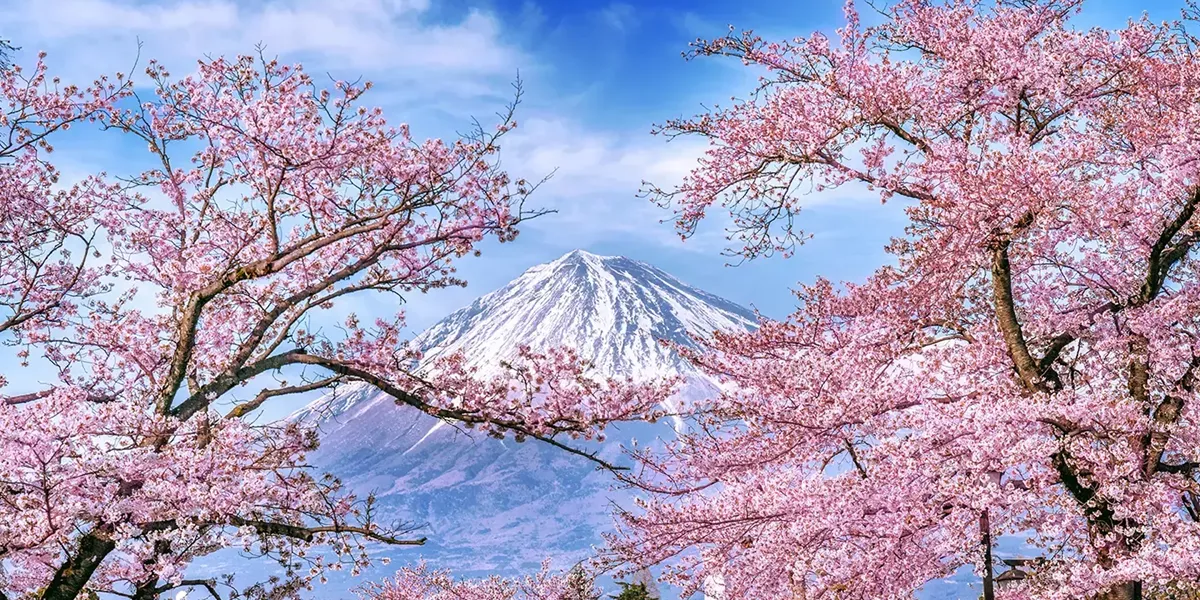 Hero Shizuoka View Of Mt Fuji Japan