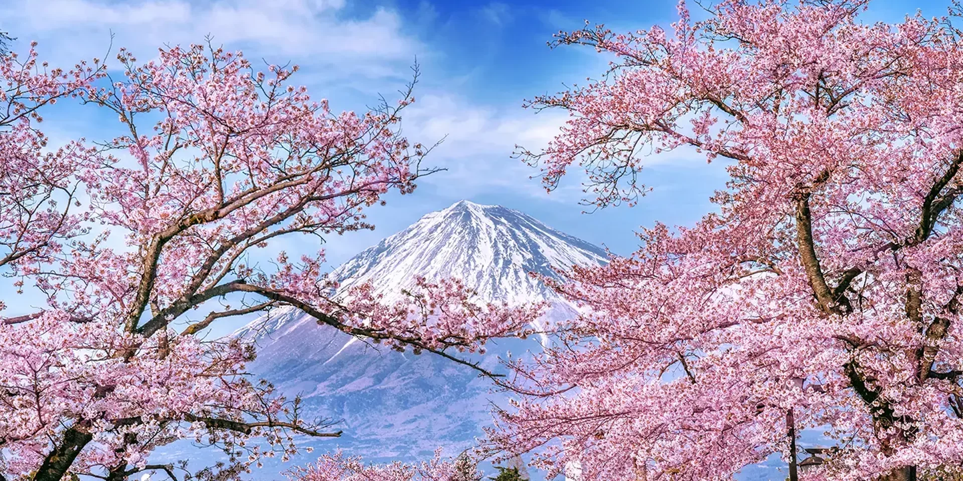 Hero Shizuoka View Of Mt Fuji Japan