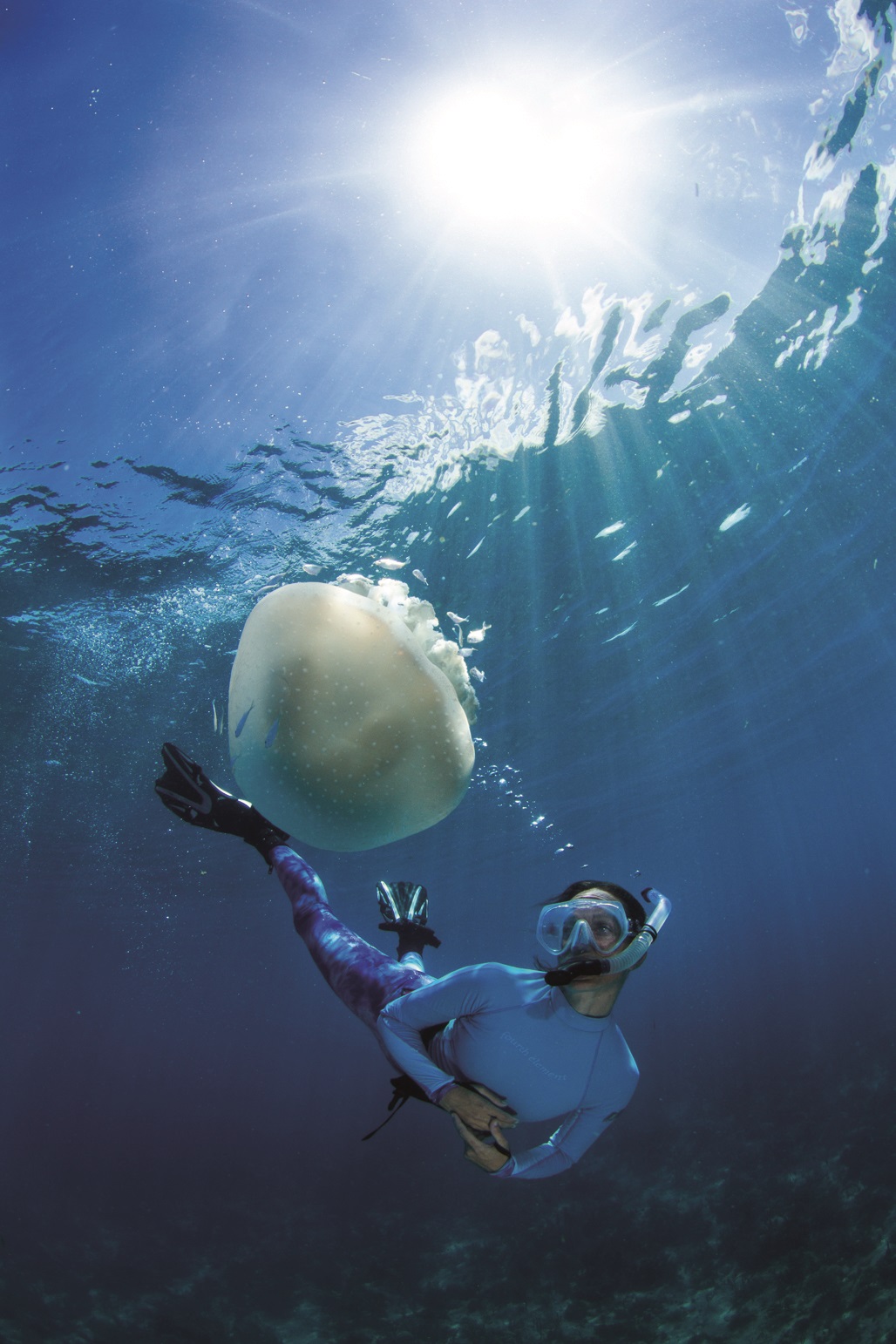 A woman and jellyfish swimming in a sea